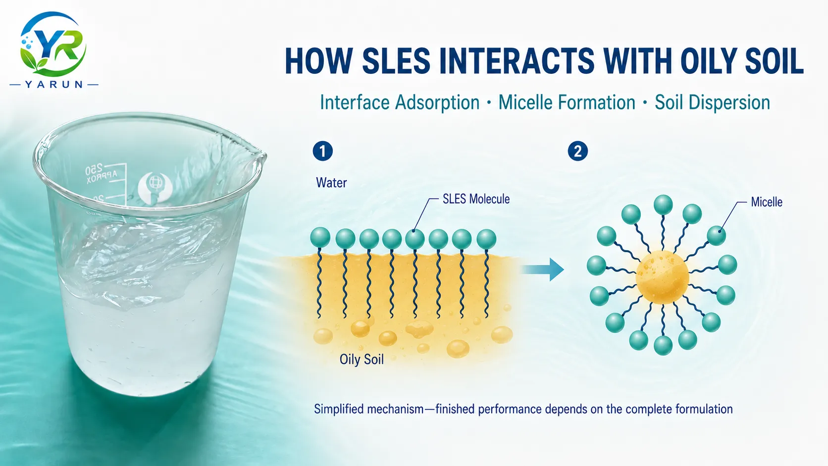 sles-interface-micelle-soil-removal-mechanism